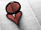 Какую книгу про любовь стоит прочитать? Всё зависит от того, что вы хотите получить от прочтения.