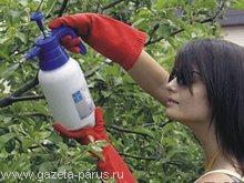 Борьба с вредителями