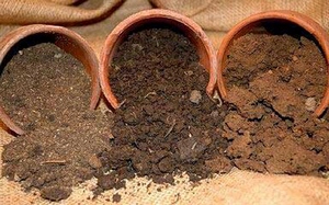 Работа на садовом участке