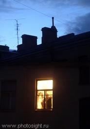 Виртуальная любовь