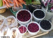 Ваш садовый участок