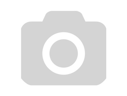 Новый 2011 год Кролика (Кота) – что он нам принесет? (готовимся к встрече Нового 2011 года)