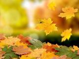 Рукоделие для дома: флористика