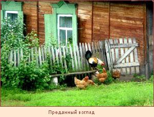 Занятие для души