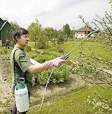 Борьба с вредителями на садовом участке