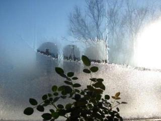 Уход за комнатными растениями в холодное время года