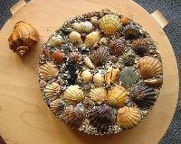Ракушки напомнят о море 